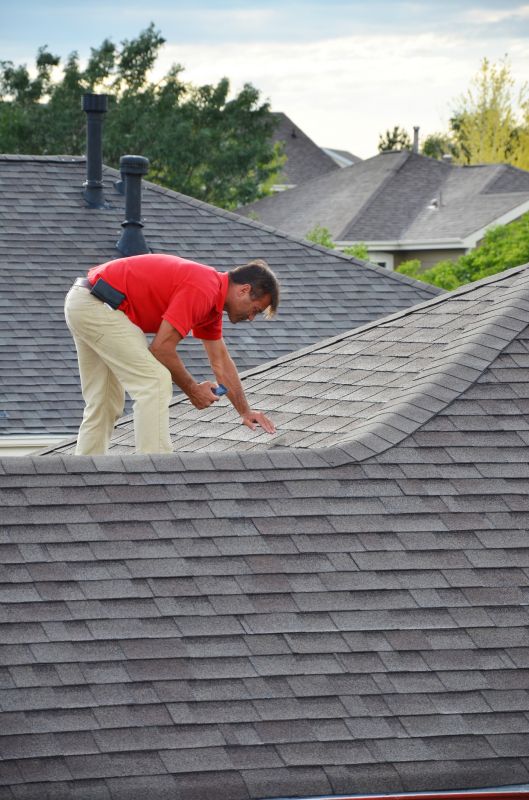 Comprehensive Roof Inspection