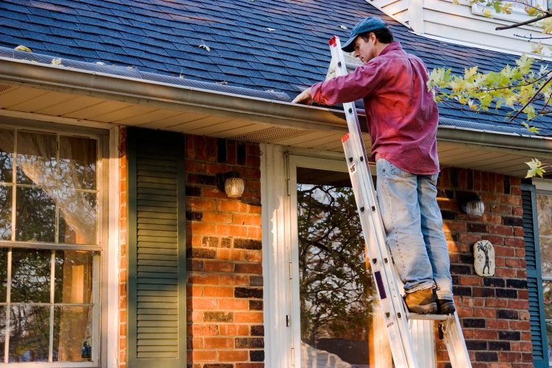 Gutter and Roof Edge Services